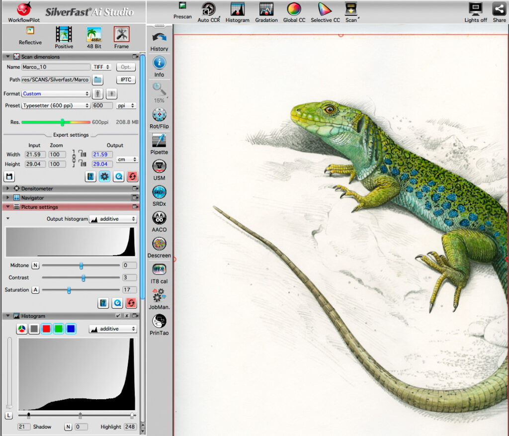 Trabalho de Marco Correia